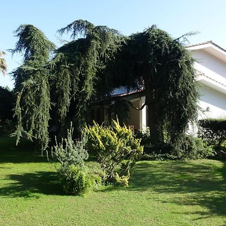Villa Paradiso Le Rughe Exterior photo